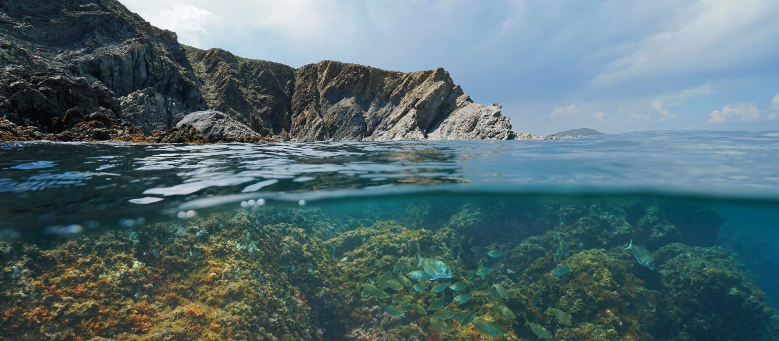 Scenic photo of a tropical water bed and rocks.